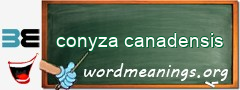 WordMeaning blackboard for conyza canadensis
